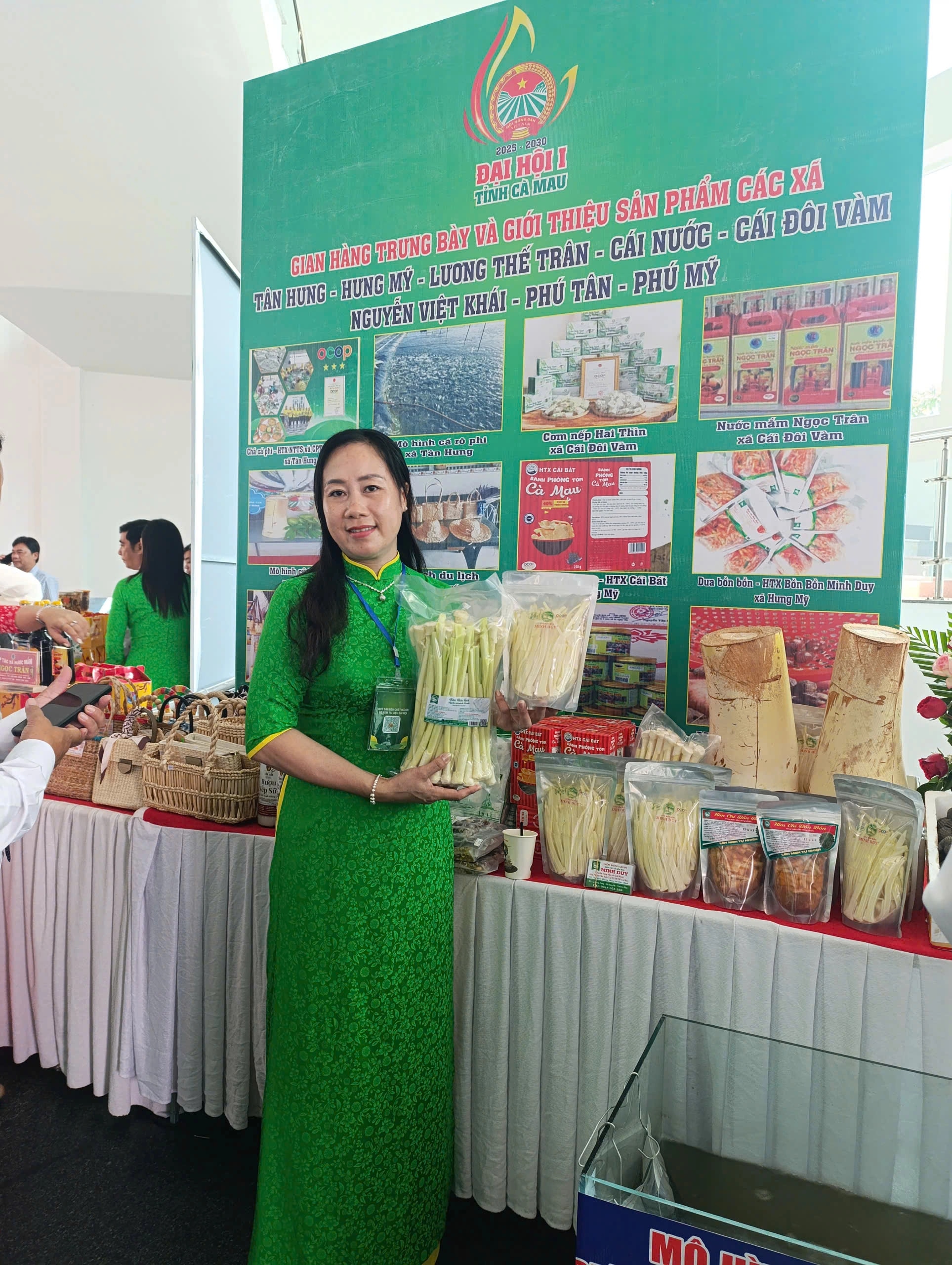 Hoạt động thu hoạch bồn bồn tại vùng nguyên liệu
