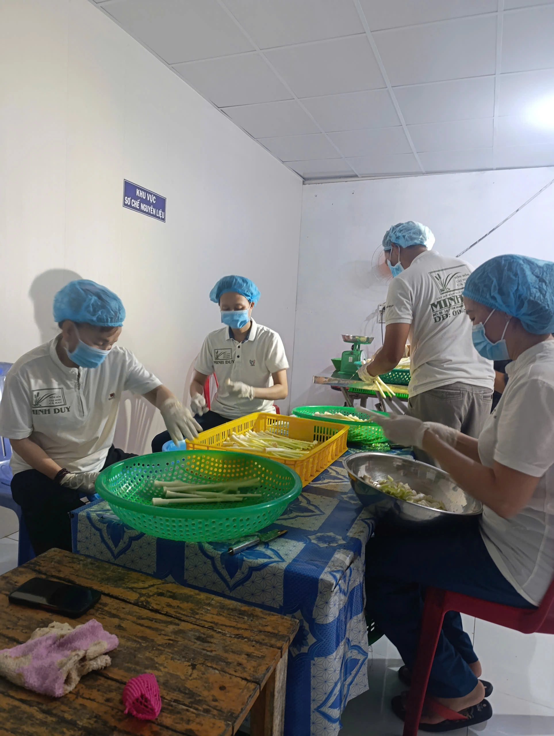 Người lao động sơ chế bồn bồn sau thu hoạch