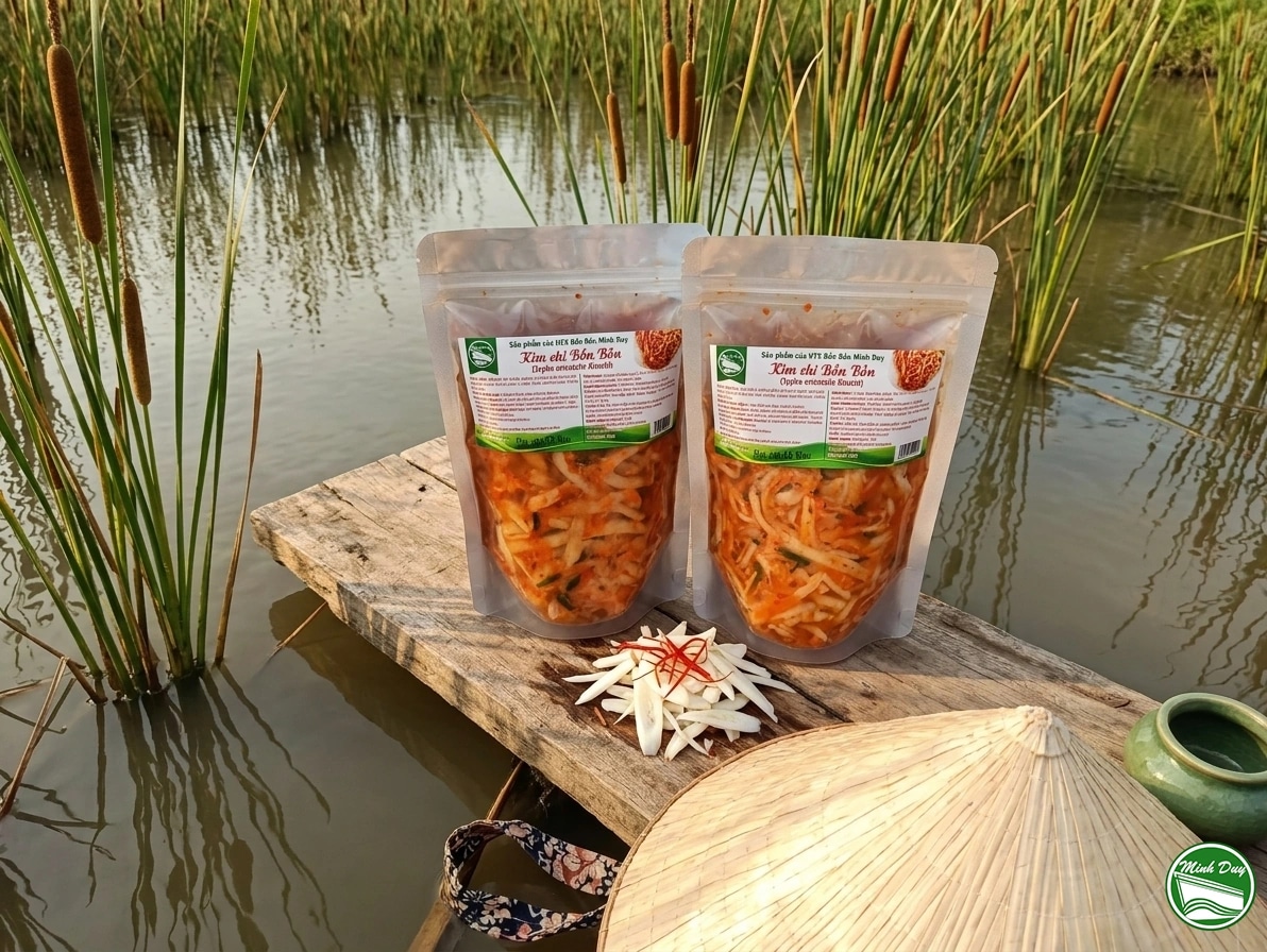 Bồn bồn kim chi HTX Bồn Bồn Minh Duy